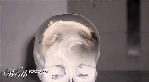 Photoshop Design by gia295