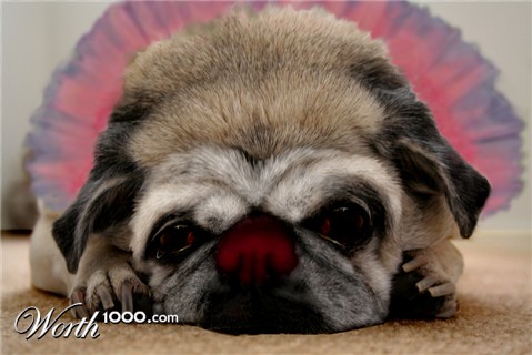 Photoshop Design by asterOne