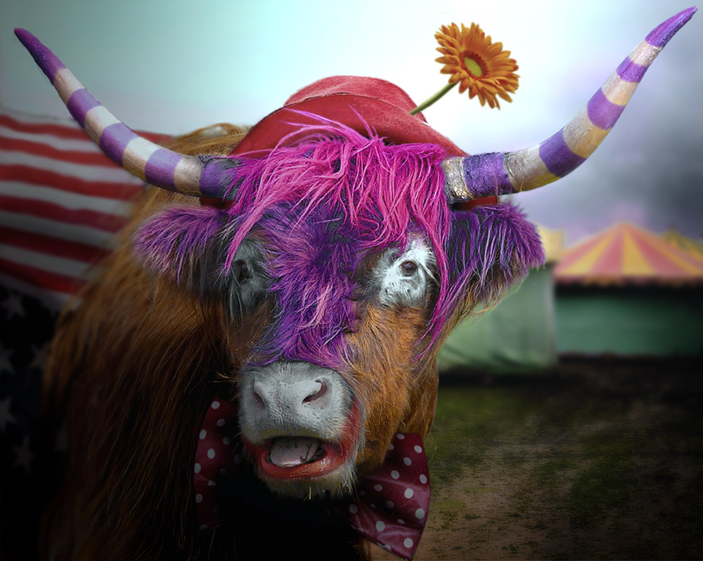 Photoshop Design by DutchPuh for DesignCrowd (Community Contests) | Design #9018180