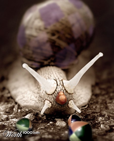 Photoshop Design by ElBorbah