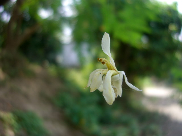 Photography by vipez for DesignCrowd (Community Contests) | Design #9019182