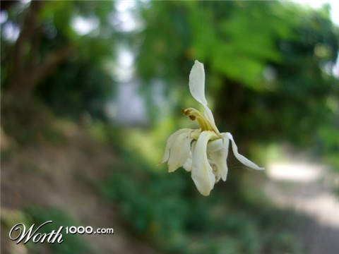 Photography by vipez