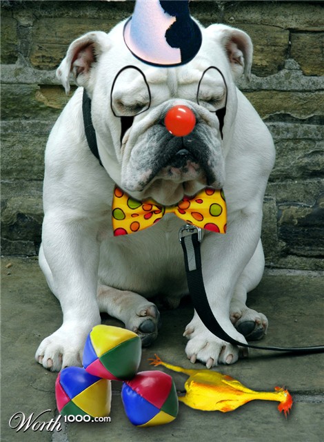 Photoshop Design by pitbullsaviour