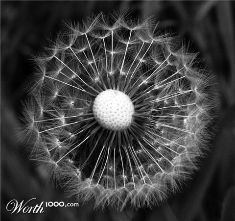 Photography by splong