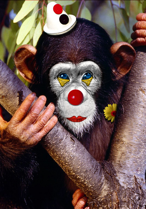 Photoshop-Design von ThreeProngs für DesignCrowd (Community Contests) | Design #9018204