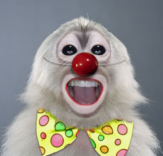 Photoshop Design by clara1156 for DesignCrowd (Community Contests) | Design #9018189