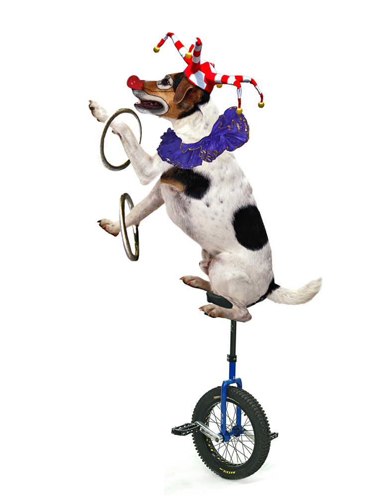 Design Photoshop par scorpio777 pour DesignCrowd (Community Contests) | Design #9018147