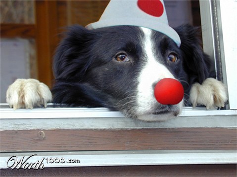 Photoshop Design by pmetzga