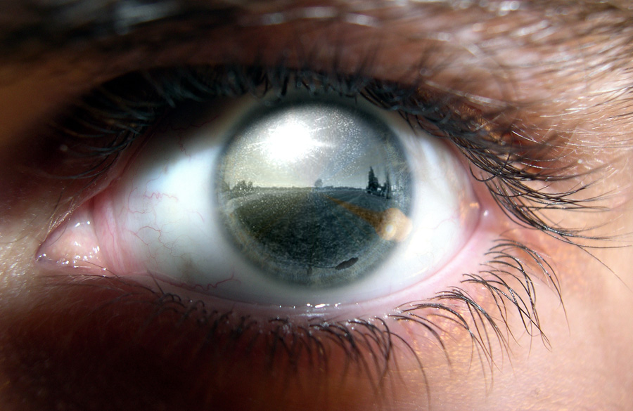 Design Photoshop par dungbeetle pour DesignCrowd (Community Contests) | Design #9011604