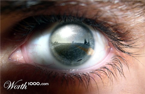 Photoshop Design by dungbeetle