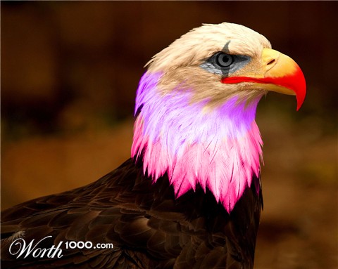 Photoshop Design by bladeoffire110