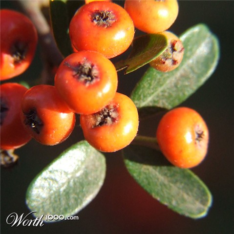 Photography by PatrickRyan