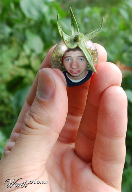 Photoshop Design by katmgck