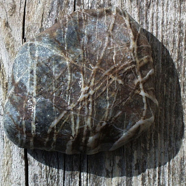 Fotografie von palegothicangel für DesignCrowd (Community Contests) | Design #9011932