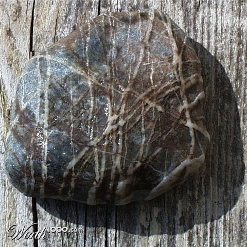 Photography by palegothicangel