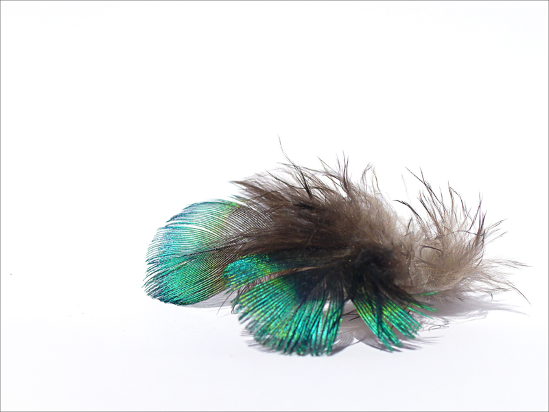 Fotografía por IsleofJura para DesignCrowd (Community Contests) | Diseño #9019207