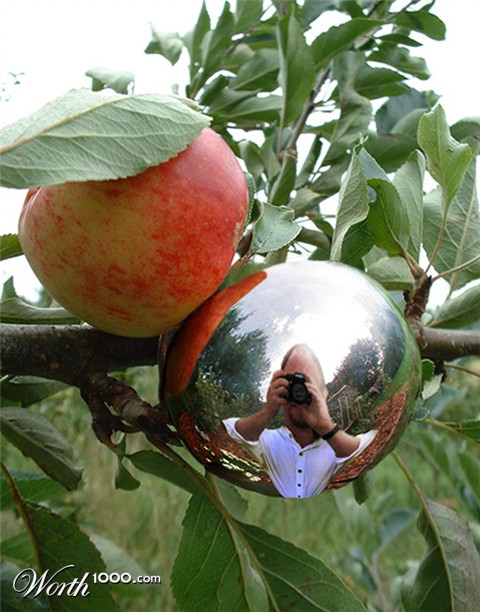 Photoshop Design by Celtenator