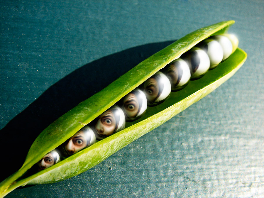 Photoshop Design by somebodyhere for DesignCrowd (Community Contests) | Design #9011837