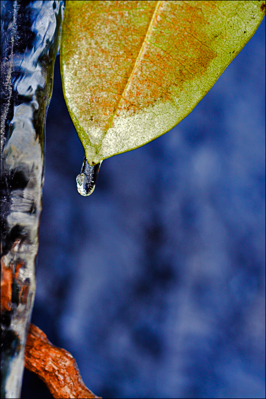 Photography by Scuzem for DesignCrowd (Community Contests) | Design #9011913