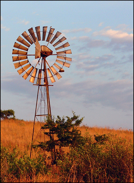 Fotografie von droomluiperd für DesignCrowd (Community Contests) | Design #9011922