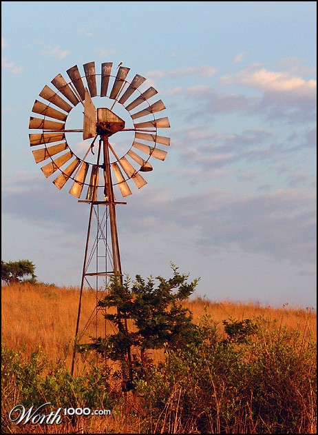 Photography by droomluiperd