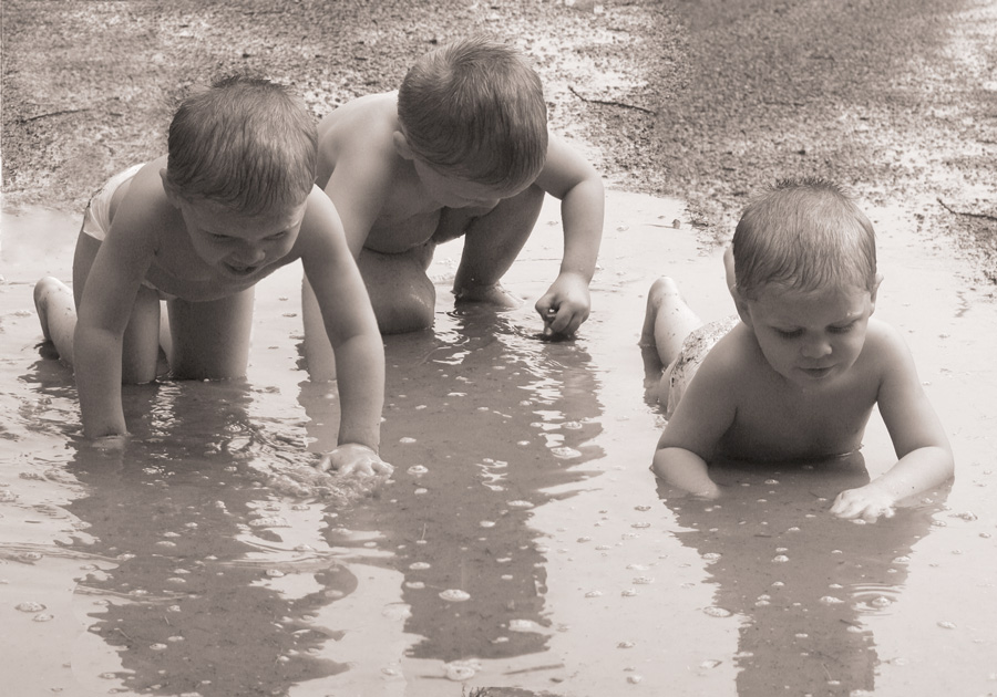 Photography by starrwalker for DesignCrowd (Community Contests) | Design #9016119