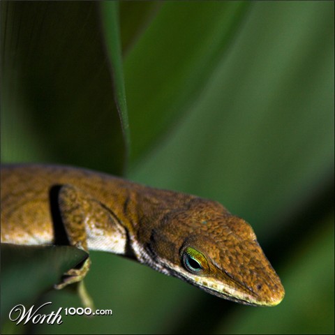 Photography by Scuzem