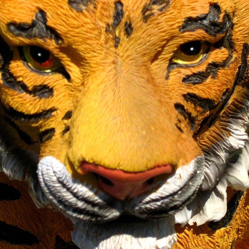 Fotografía por spincast1123 para DesignCrowd (Community Contests) | Diseño #9011925