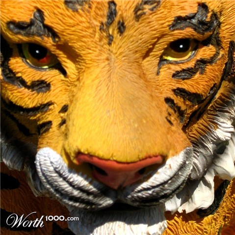 Photography by spincast1123