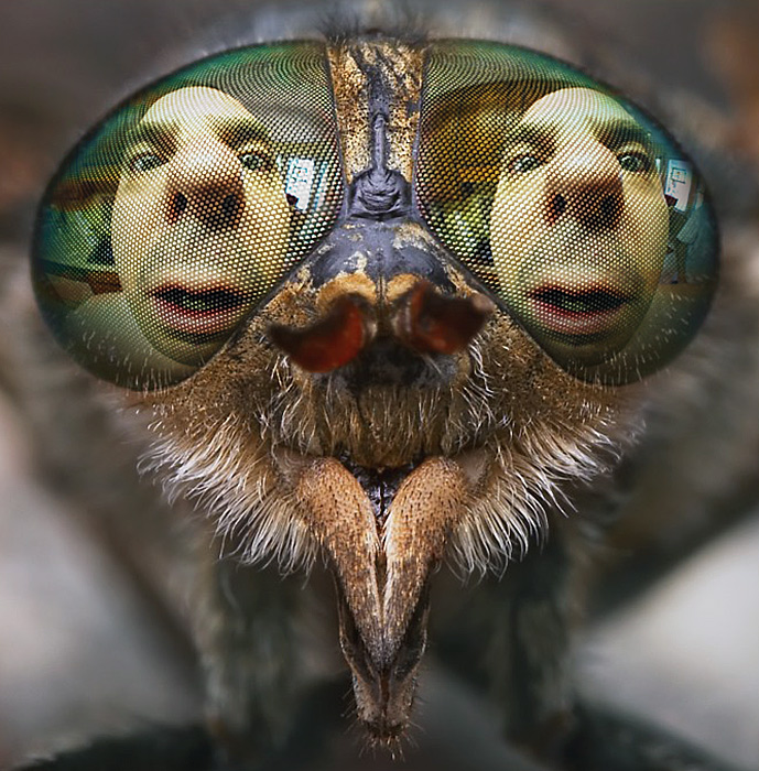 Photoshop-Design von mjhaylor für DesignCrowd (Community Contests) | Design #9011821