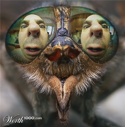 Photoshop Design by mjhaylor