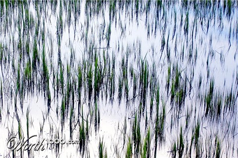 Photography by DarkAngel828