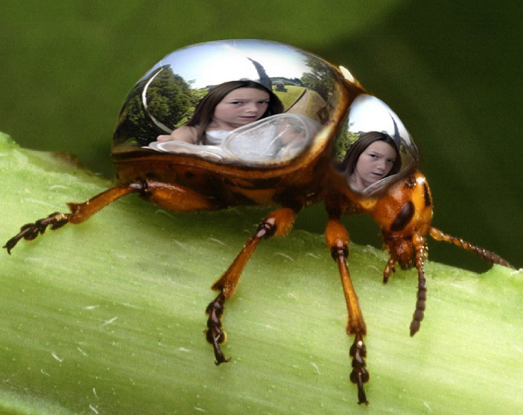 Photoshop Design by beanfarmer for DesignCrowd (Community Contests) | Design #9011856