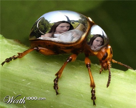 Photoshop Design by beanfarmer