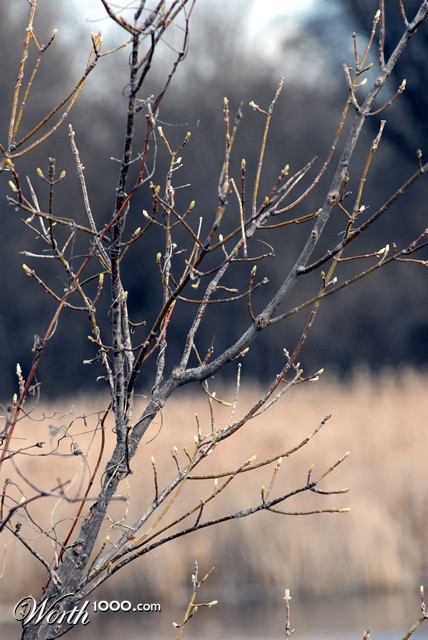 Photography by rrg239