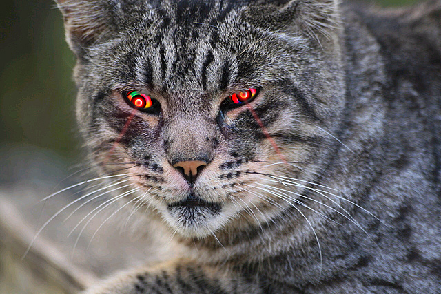 Photoshop Design by Yukarangz for DesignCrowd (Community Contests) | Design #9014242