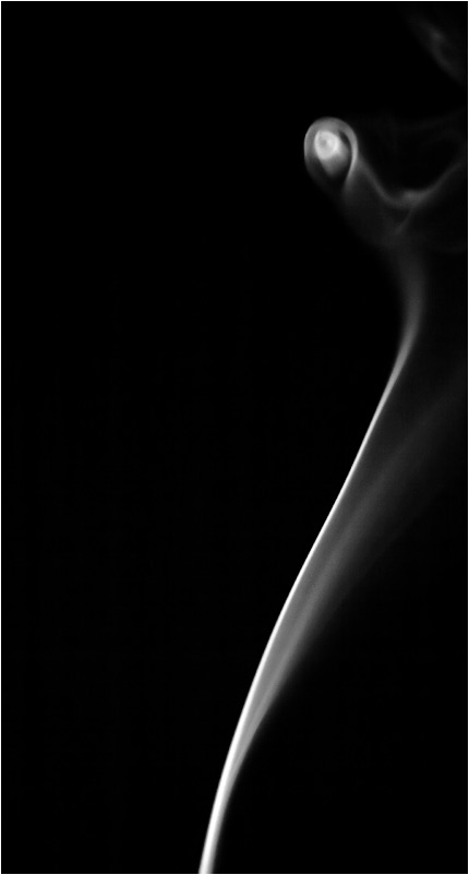 Fotografie von inshaala für DesignCrowd (Community Contests) | Design #9019287