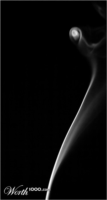 Photography by inshaala