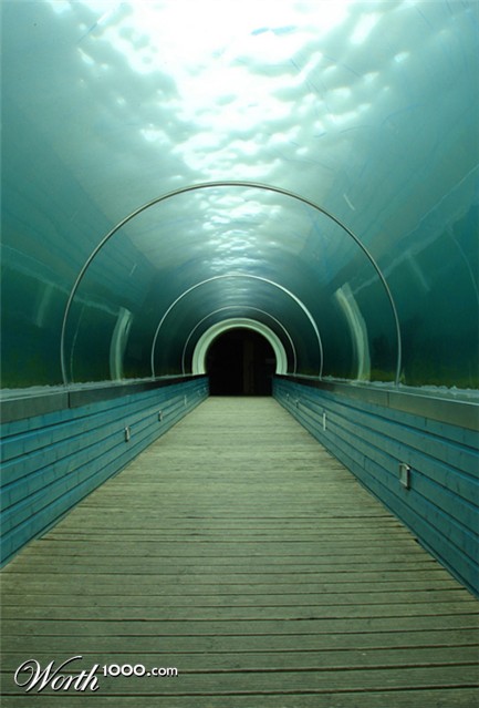 Photography by palegothicangel