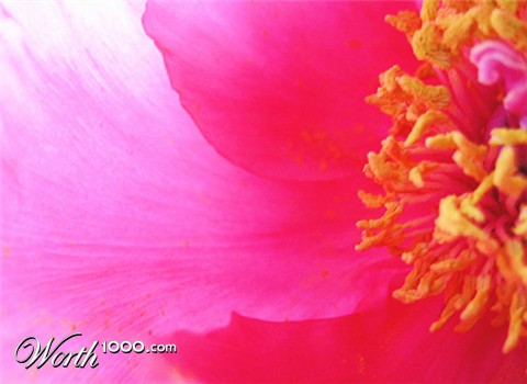 Photography by poisonyvy