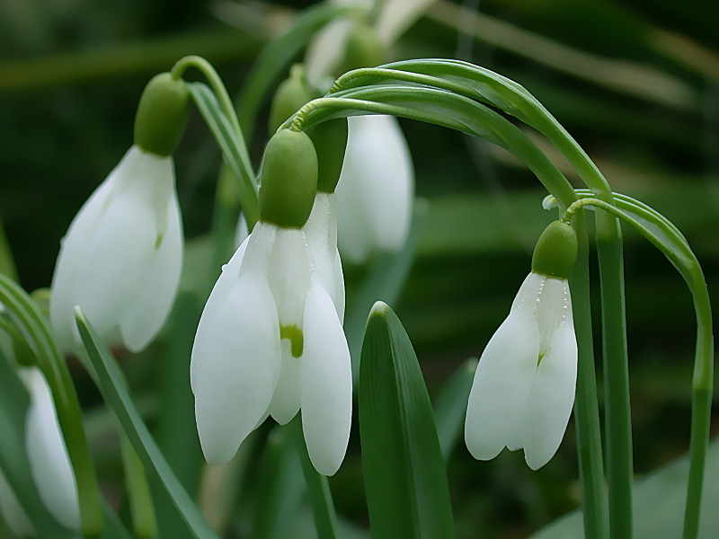 Photography by BBBastet for DesignCrowd (Community Contests) | Design #9019237