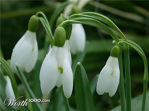 Photography by BBBastet