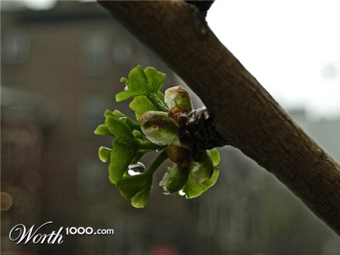 Photography by ka9dgx