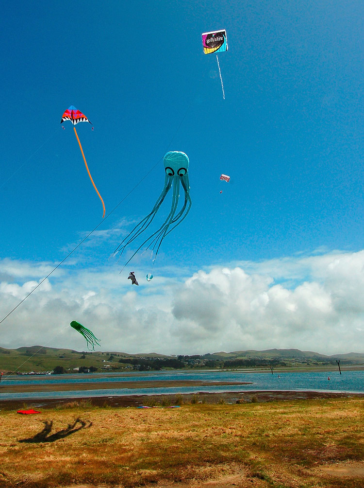 Photographie par Tonebarge pour DesignCrowd (Community Contests) | Design #9019249