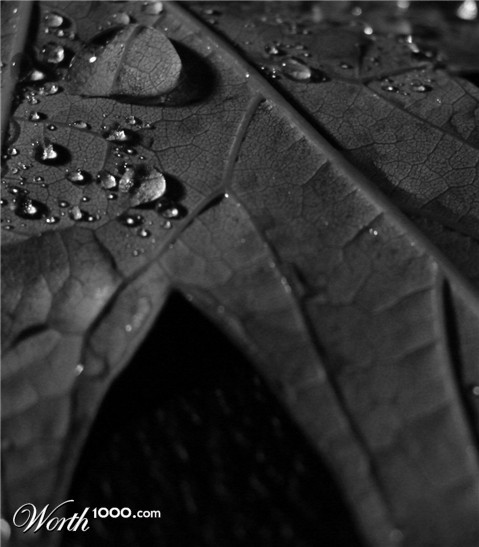 Photography by jalpari