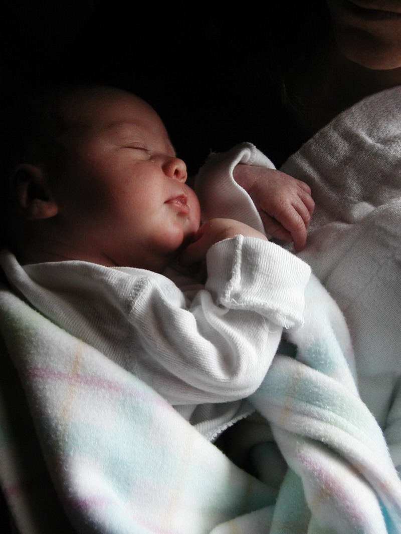 Photography by JillianRed for DesignCrowd (Community Contests) | Design #9011984