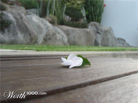 Photography by Nadeshiko