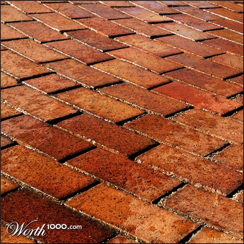 Photography by droomluiperd