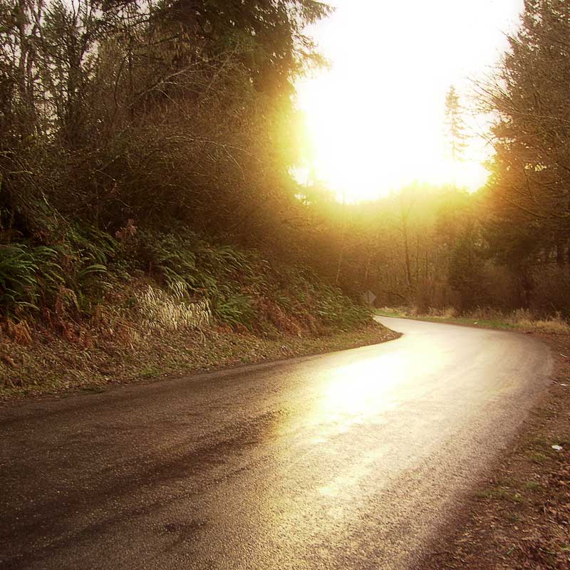 Photography by youreamuffin for DesignCrowd (Community Contests) | Design #9012071