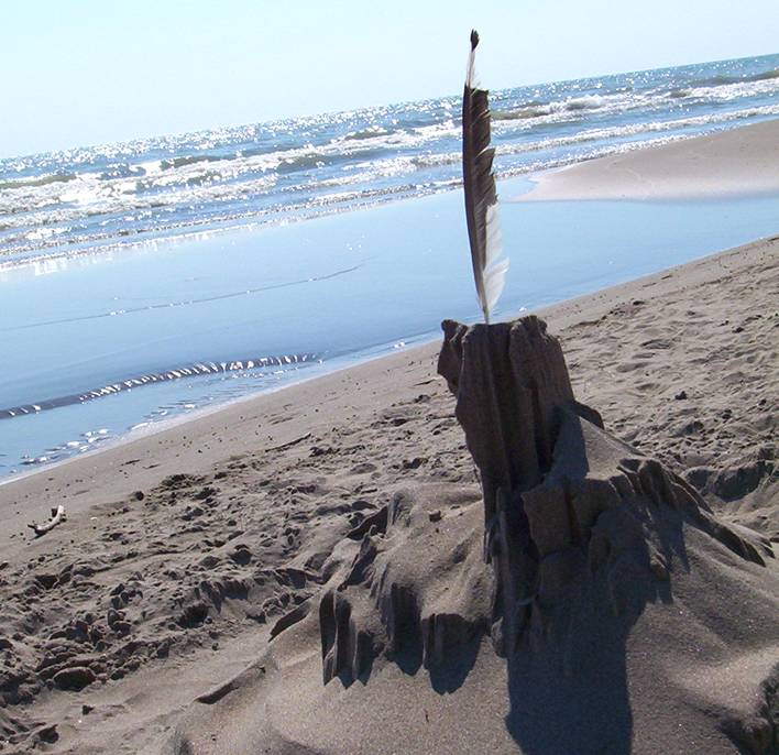 Fotografía por CookieMunster para DesignCrowd (Community Contests) | Diseño #9012158